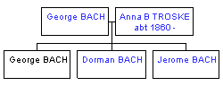 Mini tree diagram